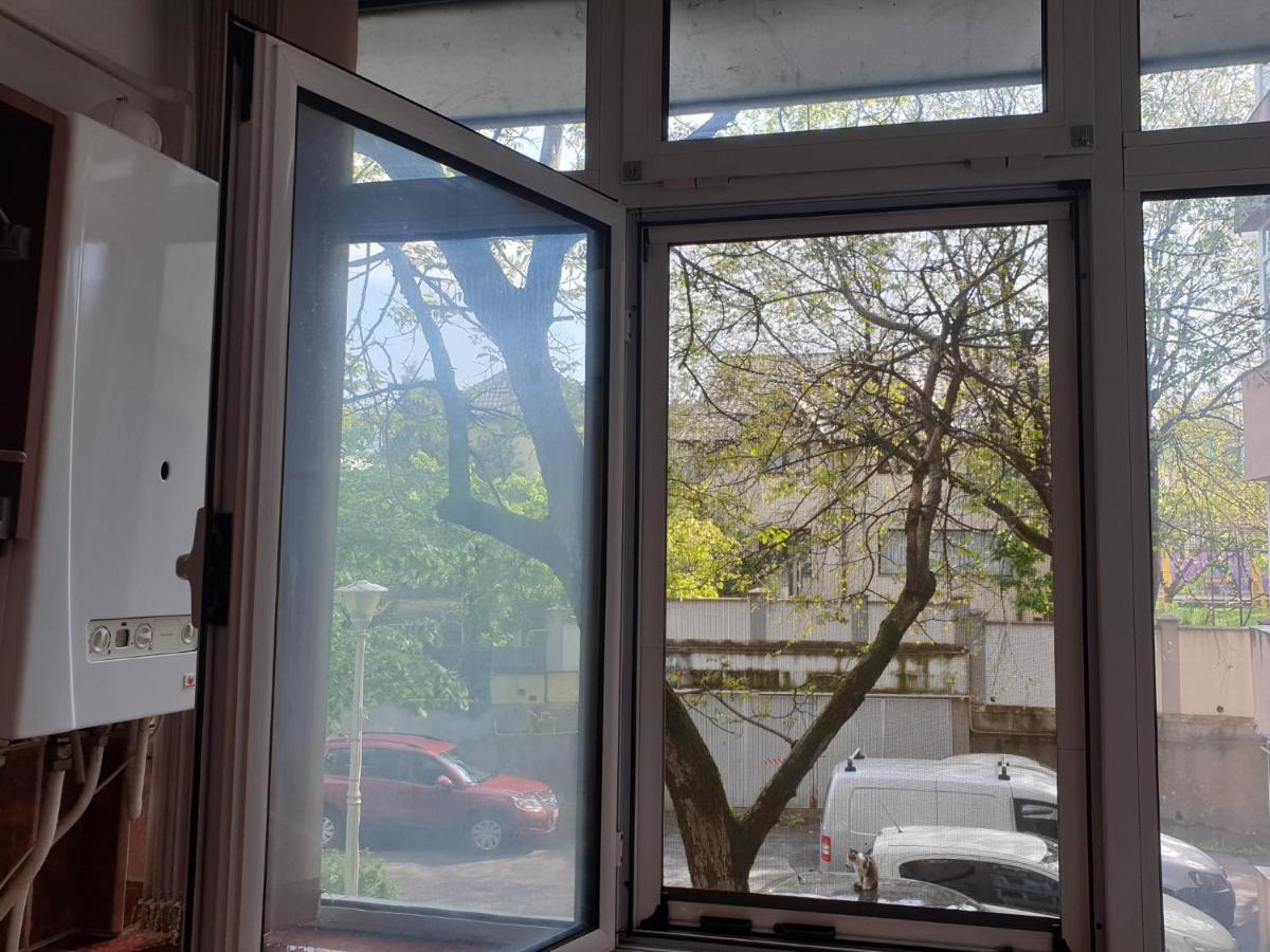 3 Camere Central Iasi Luaran gambar